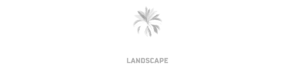 Palmera